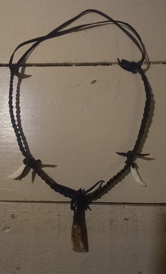 Buffalo and Coyote Tooth Necklace