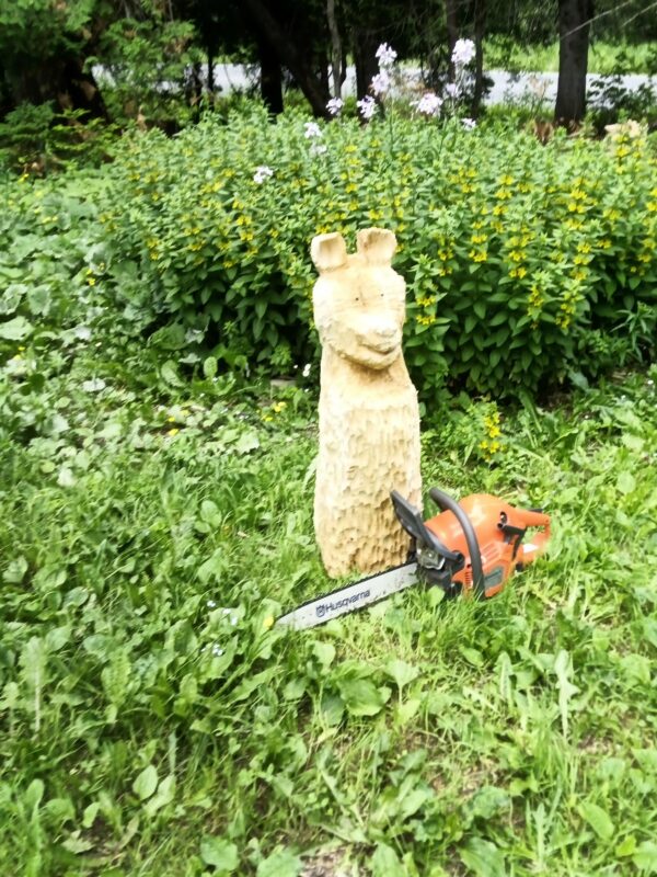 Big Bear - Image 3
