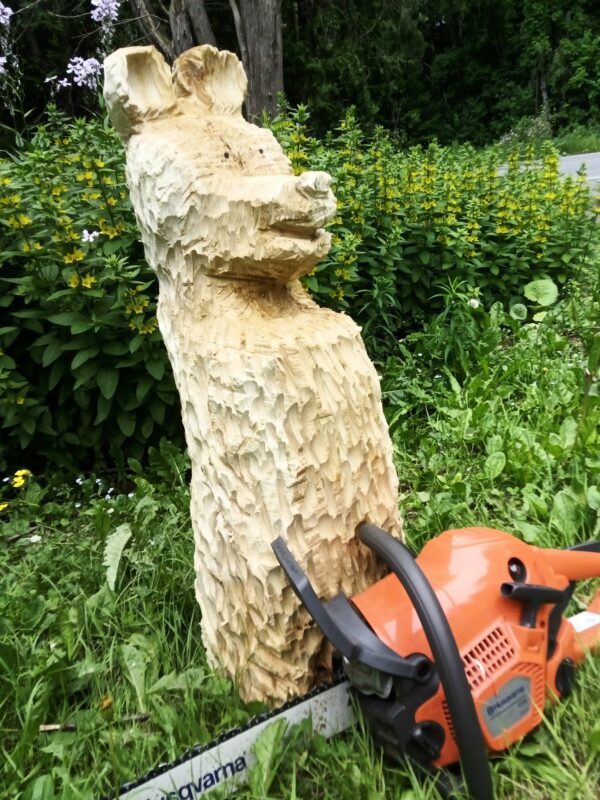 Big Bear - Image 4