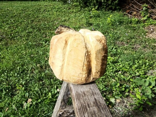 Big Pumpkin - Image 2