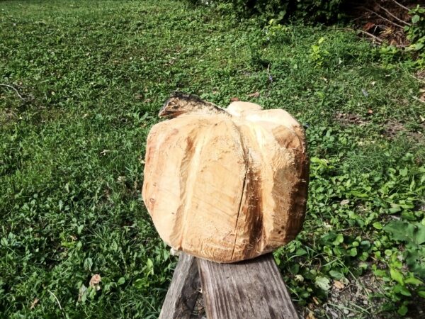 Big Pumpkin - Image 3
