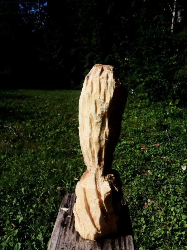 Small Ancestor - Image 3